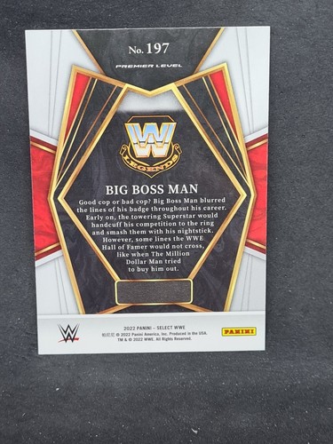 carte catch 2022 panini wwe select concourse prizm aux choix liste déroulante - Imagen 357 de 383