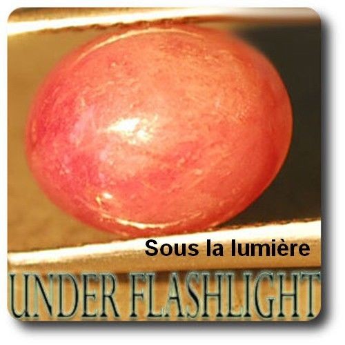 Rubis Étoilé 4.05 Carats Rouge Intense Madagascar Rare pour Bague
