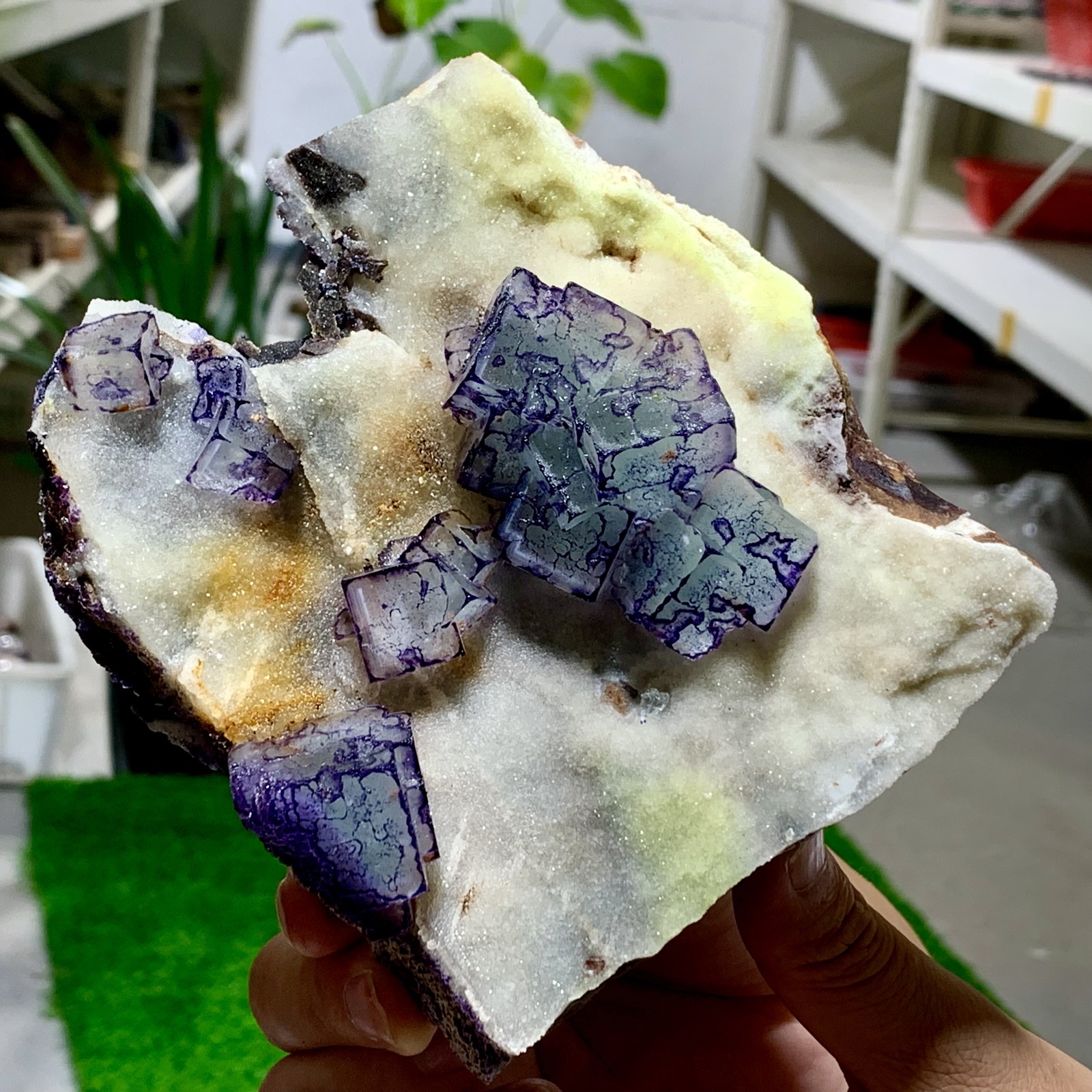 1.57LB Rare Purple-Green Transparent Cubic Fluorite Crystal Specimen from China