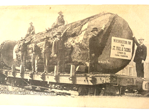 RPPC P.A Kaufer Antique Postcard St Paul &Tacoma Washington Fir Timber Lumber - Picture 3 of 3