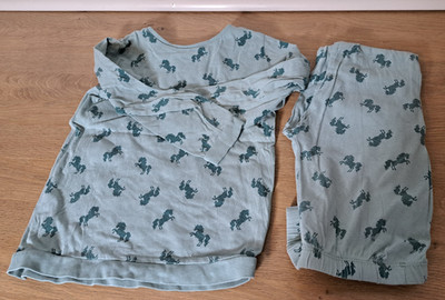 grüner Kinder Schlafanzug Pyjama Pferdemotiv Größe 110/116 - dopodopo girls