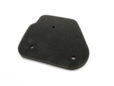 Luftfilter Athena S410485200002 für Adly Benelli Beta Buffalo CPI KTM MBK Yamaha