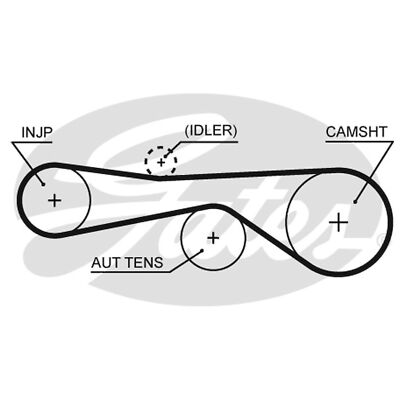 Audi A5 Replace Cambelt For Audi A5 8T TDI Quattro Genuine Gates