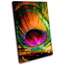 Peacock Feathers Animals SINGLE CANVAS WALL ART Picture Print VA
