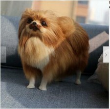 Lifelike Realistic Pomeranian Dog Model Toy Plush Doll Animal Craft Ornament