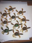 10 Crab Lures Baby Crab Lure Lot Deep Sea Fishing Lure Big Game Fishing Lures
