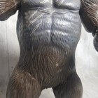 Foto 14 di 17