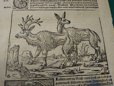 ca. 1580  Blatt Cosmographia Schweden Skandin...