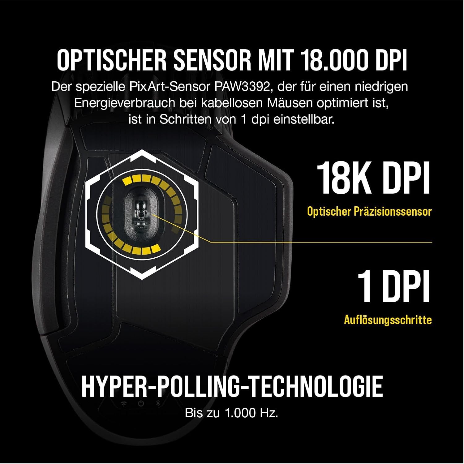 Bild 12 von 13