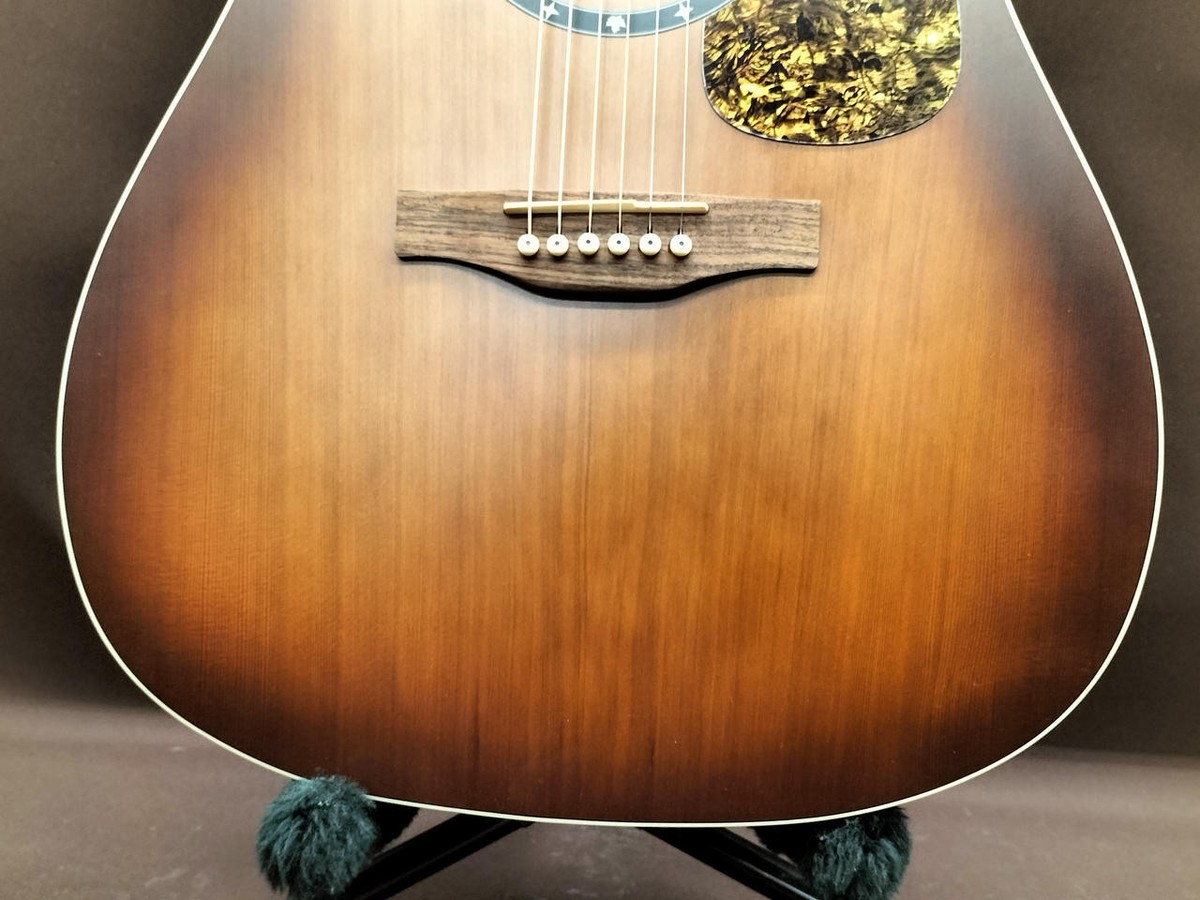 ギター NORMAN B18 CW (fishman presys) Norman B18 Cw Eco | eBay