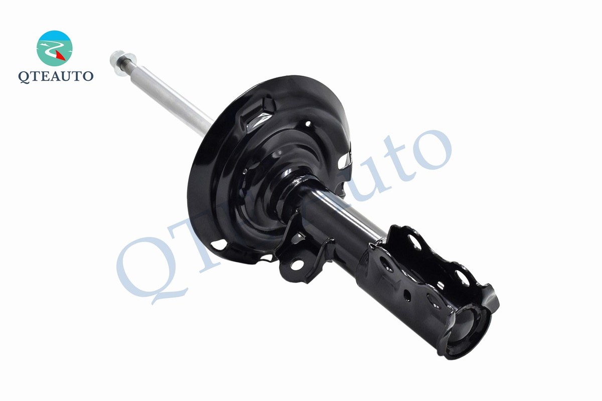 Set Front Suspension Strut Assembly-Rear Shock For 2019-2022