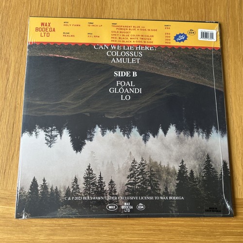 Holy Fawn - Realms - Grey-in -Blue Vinyl LP (Limited Edition) SHOEGAZE - Picture 2 of 2