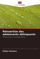RéInsertion Des Adolescents DéLinquants Facteurs Pour Un Processus Efficace Buch