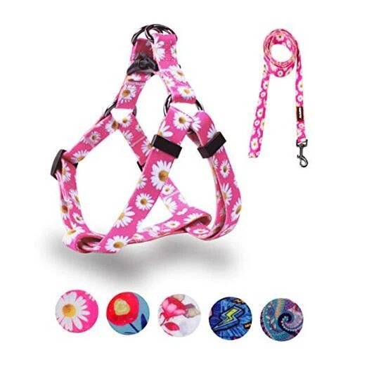 Dog Harness Leash Set Adjustable Heavy Duty No S(14"-20" Chest Girth) Daisy Dog Harness Leash Set Adjustable Heavy Duty No S(14"-20" Chest Girth) Daisy
