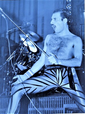 FREDDIE MERCURY PHOTO 1984 ELITE UNIQUE UNRELEASED QUEEN IMAGE 12INCH WORKS TOUR