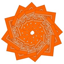12 Pack Bandanas Unisex Paisley Cowboy Bandanas Bulk Multi Purpose Headband S...