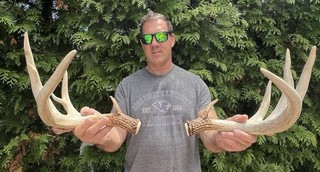 deer antler sheds