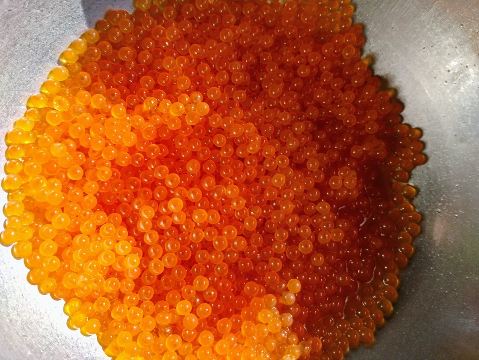 Mezcla chum huevos curativos naturales rey salmón cabeza de acero trucha coho pescado cebo curado Foto 4 de 4