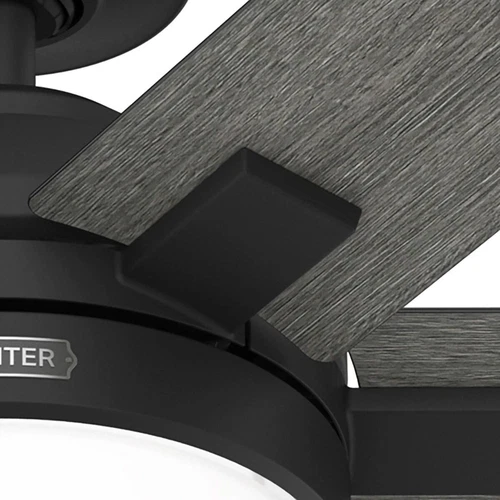 Hunter 52 Georgetown ENERGY STAR Ceiling Fan W/ LED Light, Remote - Contemporary - Picture 14 of 24