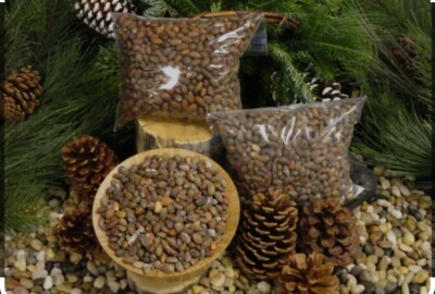$20 New Mexico Piñon, Pinon Pine Nuts, 2024 Harvest, Roasted & Salted  Or Raw