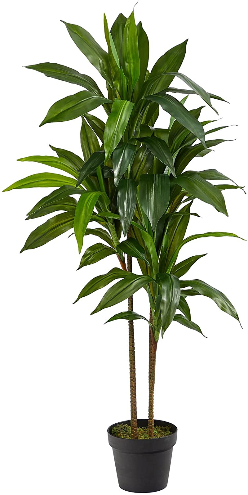 48-Inch Real Touch Dracaena Silk Plant in Vibrant Green