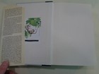 Picture 6 of 10