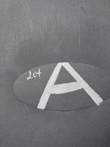 Disney Paris Ratatouille City of Cheese Women's Size XXL Sweatshirt - Foto 9 di 9