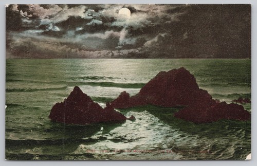 Seal Rocks in San Francisco California c1910s Postcard | eBay