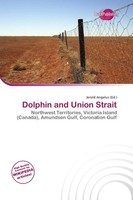 Jerold Angelus | Dolphin And Union Strait | Taschenbuch | Englisch (2026)