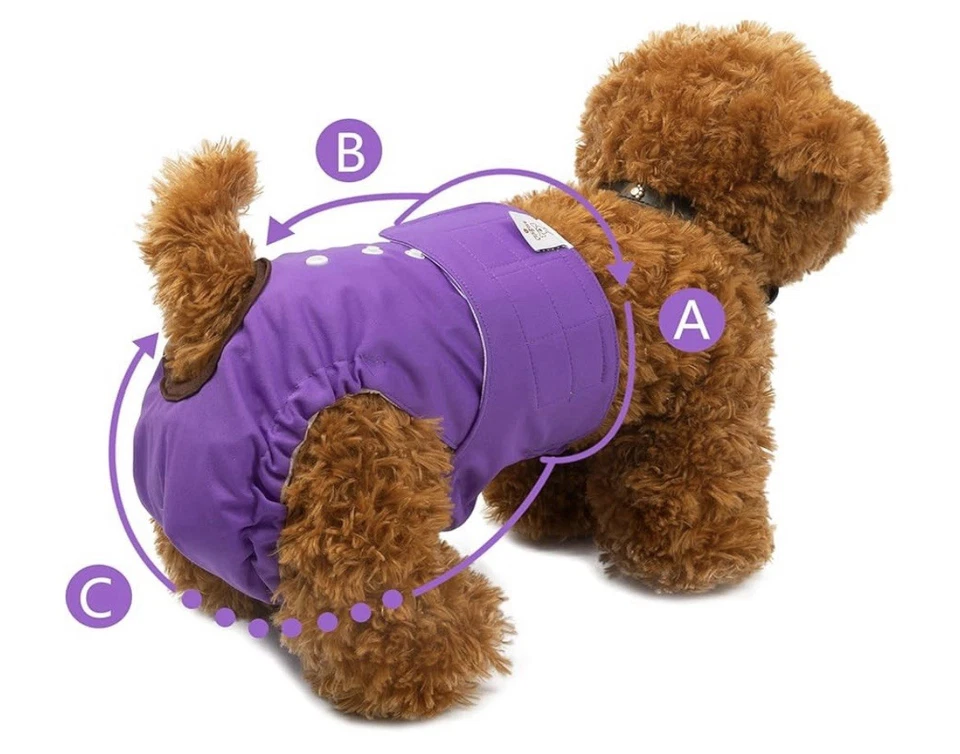 Cute Bone(MEDIUM)female Dog Period Diapers 3 Pack. - Image 4 of 4