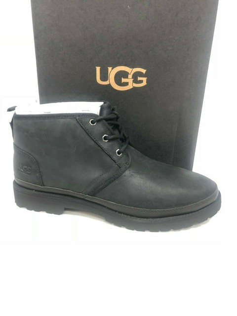 neuland chukka boot ugg