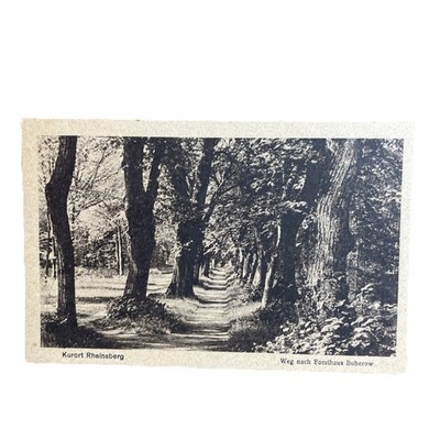 Postkarte AK Rheinsberg Weg Forsthaus Buberow Ungelaufen