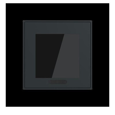 Busch-Jaeger Display 2,4'' Format 70 - SD/U12.70.11-4015 2TMA310010B0006 Display