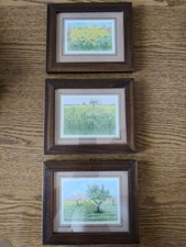 Quadri piccoli con paesaggi, prato, erba, fiori di campo, cornice in legno [3]