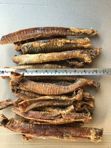 lamb trachea for dogs