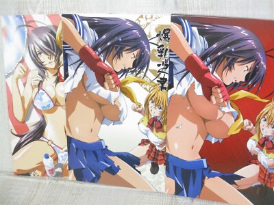 IKKI TOUSEN Bakunyu no Sho Art Book w/CD, Booklet Poster 2009