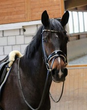Trense Myunicorn Modell Vittoria Rundgenäht Warmblut Schwarz