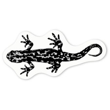 Aufkleber Sticker "Salamander" (DW035752)