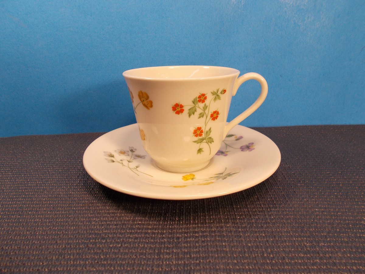 Royal Doulton China Springtime TC1113 Pattern Cup Saucer Set