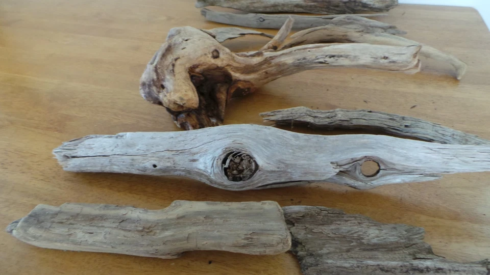 Lote de madera a la deriva sin tratar decoración de acuario terrario reptiles artesanía Foto 4 de 4