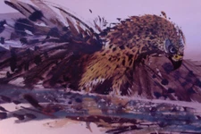 1976 Janusz Grabiański Eagle Orzeł Large Format 22.5x32 cm