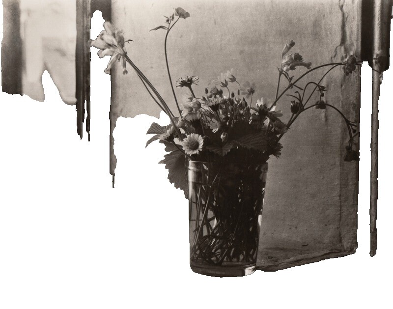Josef Sudek-Still Lifes | eBay