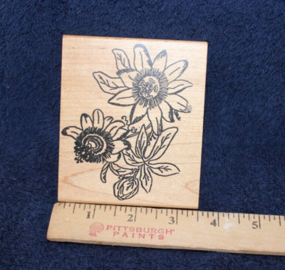Me and Carrie Lou Rubber Stamp - Passion Flowers (?)