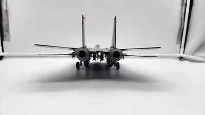 Franklin Mint 1:48 Grumman F-14 Tomcat Black Bunny VX-4 Navy Code