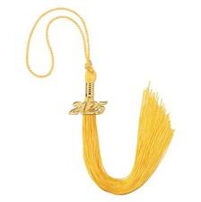 Graduation Tassel 2025 Gold Tassel with 2025 Year Gold Date Charms Academic G...