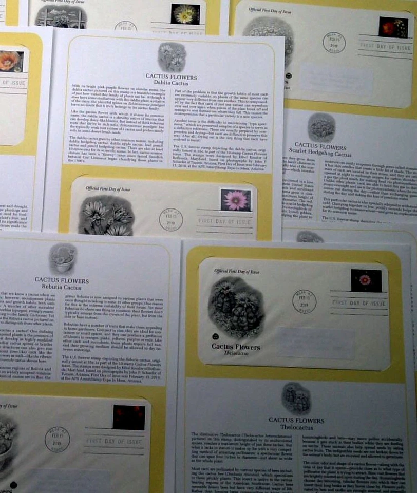 Cactus Flowers Sc 5350-5359 FDC 2019 PCS desierto botánica flor planta natural Foto 2 de 4