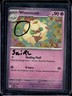 Whimsicott - 019 * SWIRL MEP Black Star Promo Cosmos Holo 2025 NM / Pokemon TCG