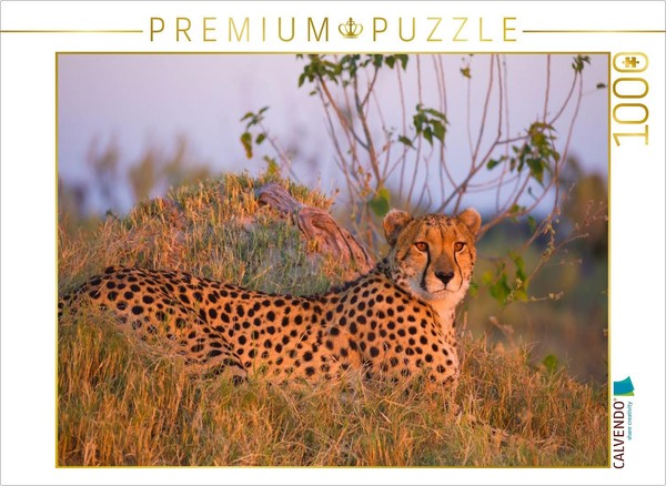 Calvendo Puzzle Cheetah, Masai Mara, Kenya. | 1000 Pieces, Finished Size 25.2 ×-image
