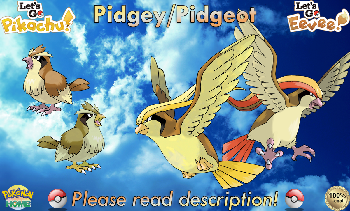 ⭐Shiny Non-shiny Pidgey Pidgeot 6IV XL⭐Let's Go Pikachu Eevee HOME (💯Legal)
