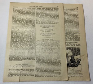1880 article ~ FOR LIFE AND DEATH ~ Wolf attacks in Russia